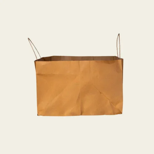 Brown Paper Bags