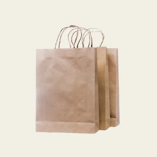 Brown Paper Bags