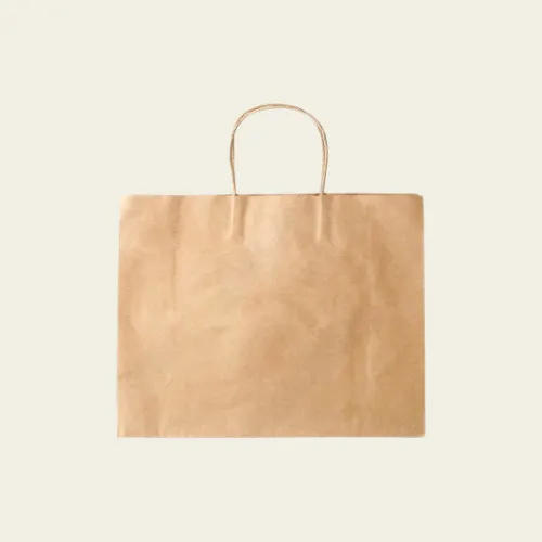 Brown Paper Bags