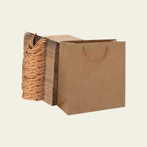 Bulk Paper Bags