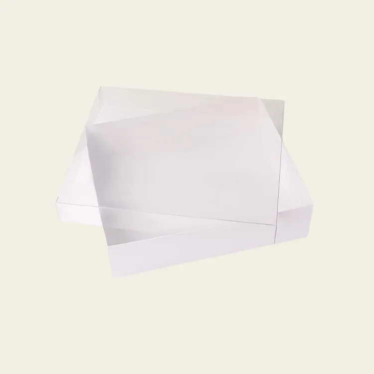 Clear Lid Boxes
