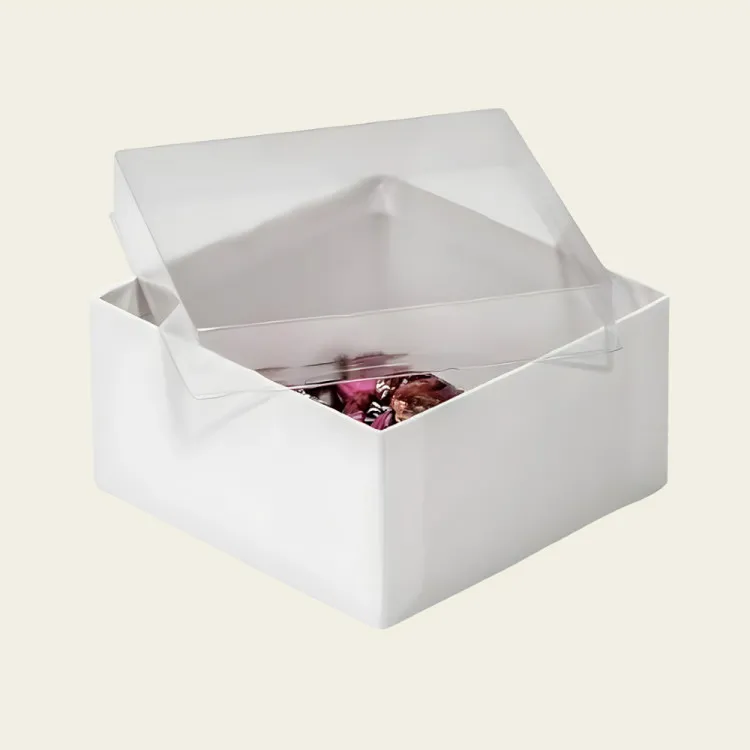 Clear Lid Boxes
