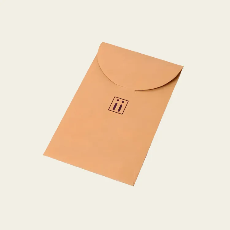 Envelope With Clasp