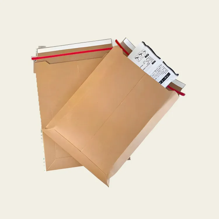 Envelope With Clasp