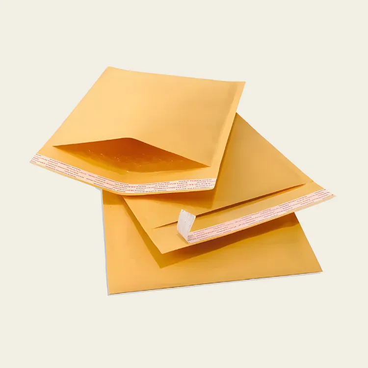 Envelope With Clasp