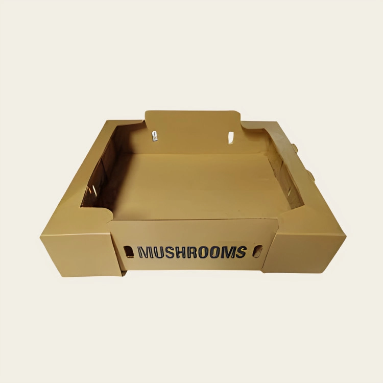 Mushroom Packaging