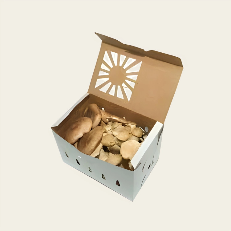 Mushroom Packaging