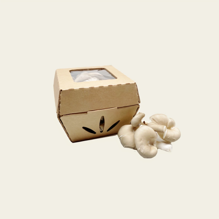 Mushroom Packaging