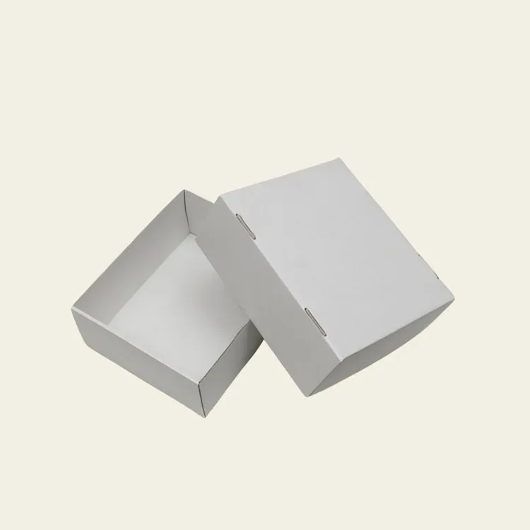 Kraft White Boxes