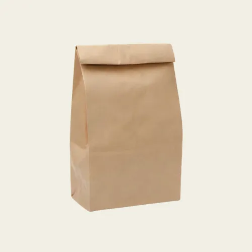 Paper Lunch Bags