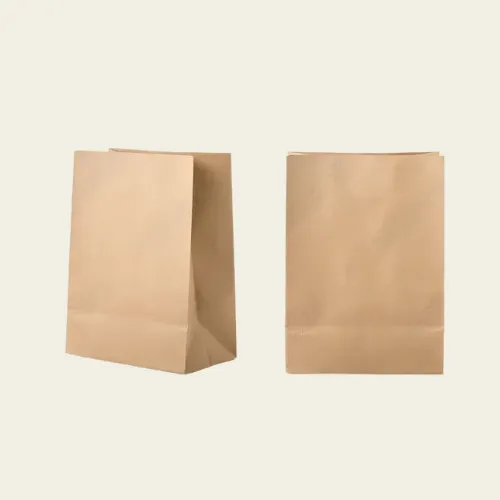 Paper Lunch Bags