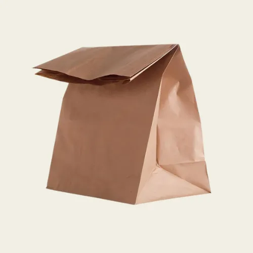 Paper Lunch Bags