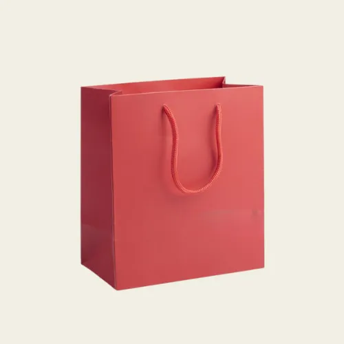Paper Shopping Bags