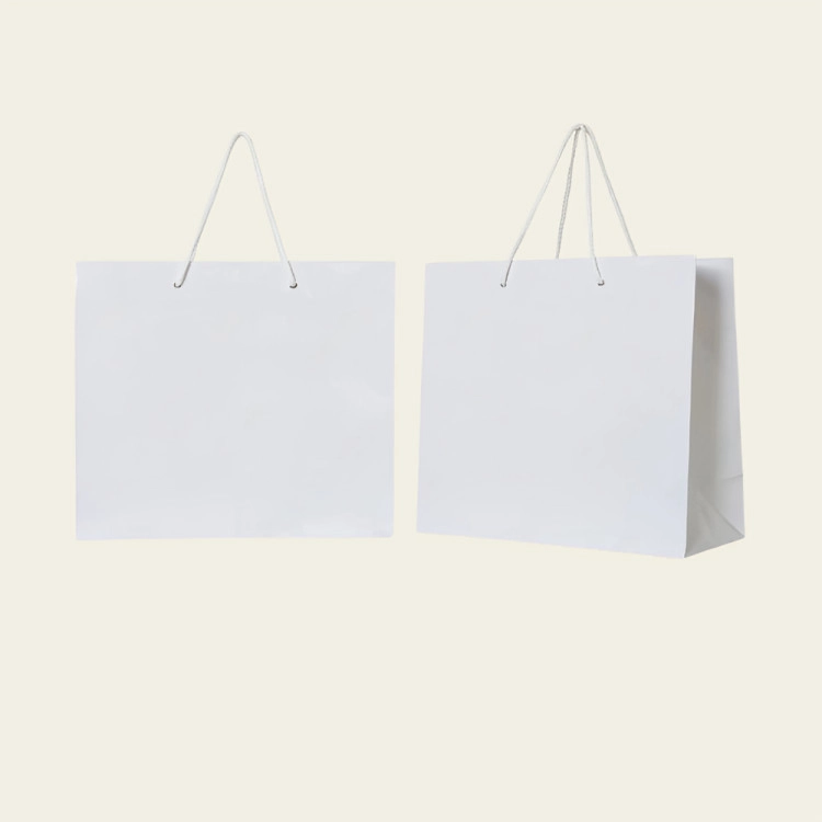 White Paper Bags